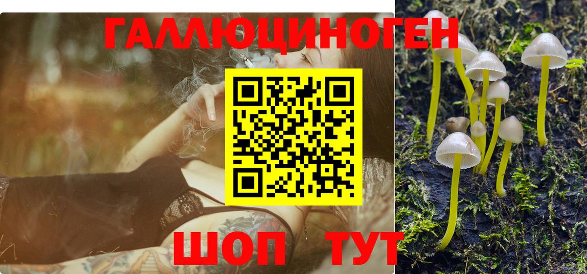 Галлюциногенные грибы Cubensis  Галлюциногенные грибы ЛСД  Вход с VPN  Людиново 
