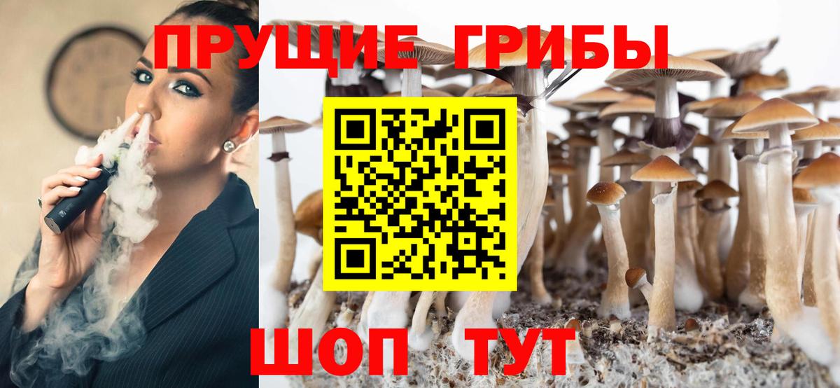 Псилоцибиновые грибы прущие грибы Людиново